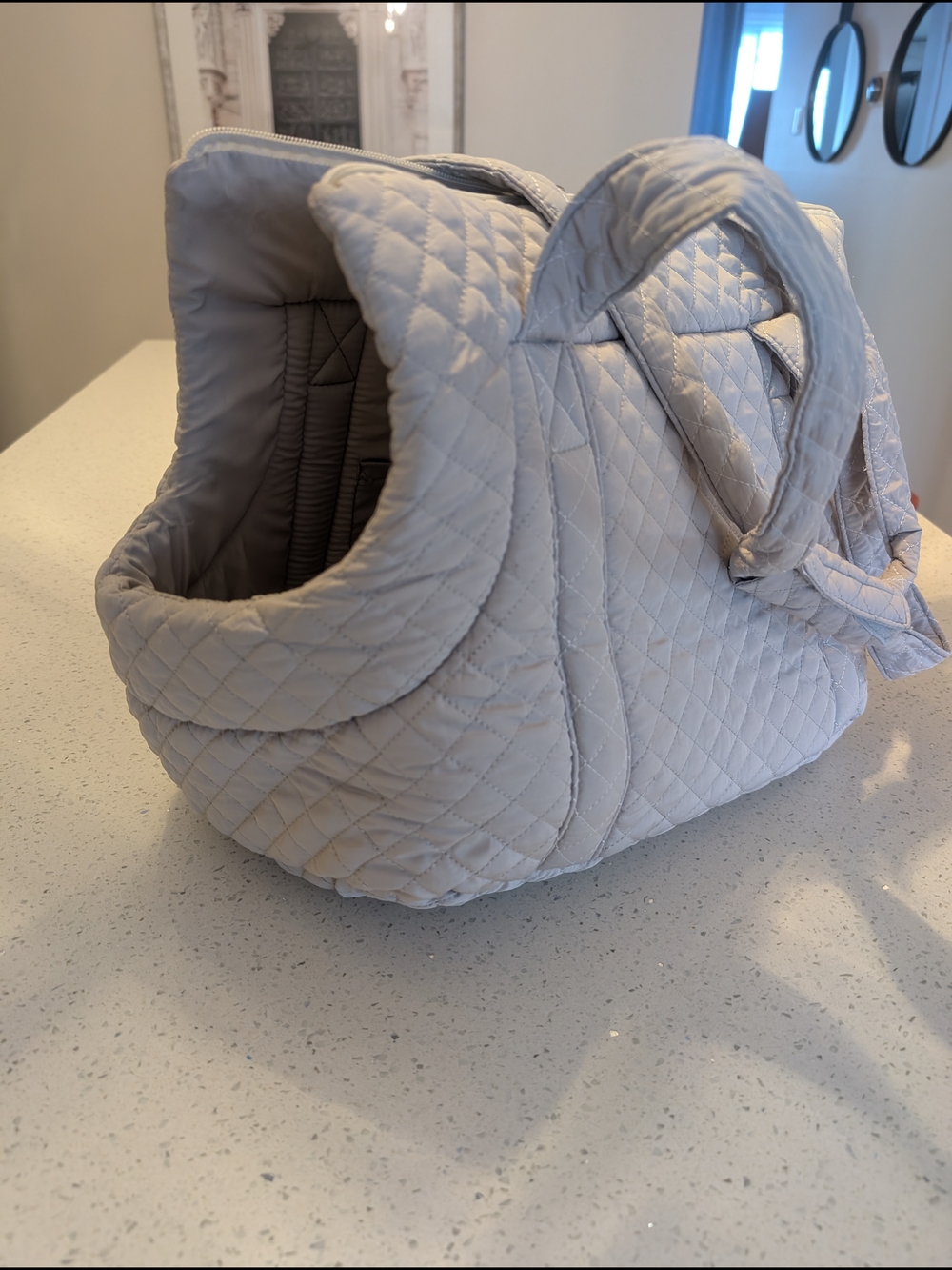 Pet Carrier Bag